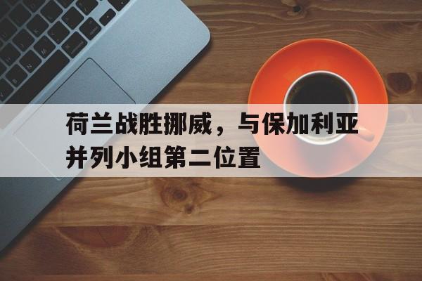 荷兰战胜挪威，与保加利亚并列小组第二位置的简单介绍